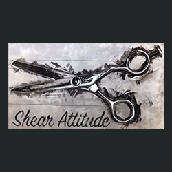 SHEAR ATTITUDE HAIR NAIL SALON - 14 Photos - 540 N Adams St, Dixon